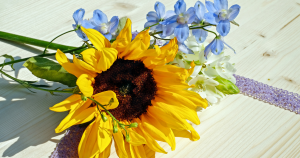 新年明けましておめでとうございます。